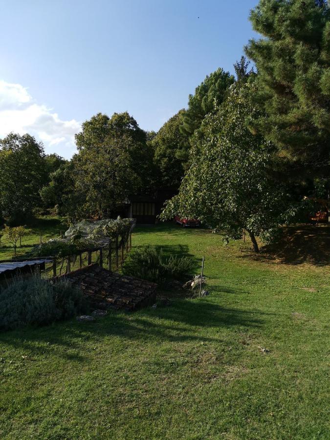 Apartman Marijeta Moscenicka Draga Luaran gambar